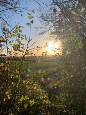 Newfield Holiday Cottages blog image - Autumn Days in Dorset
