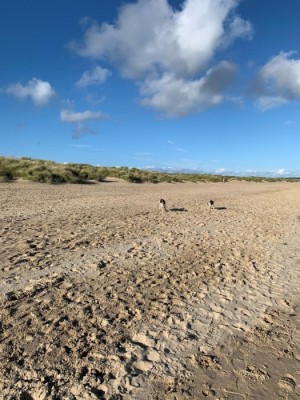 Image 1 from Autumn Days in Dorset | Newfield Holiday Cottages