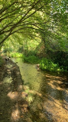 Image 3 from Autumn Days in Dorset | Newfield Holiday Cottages