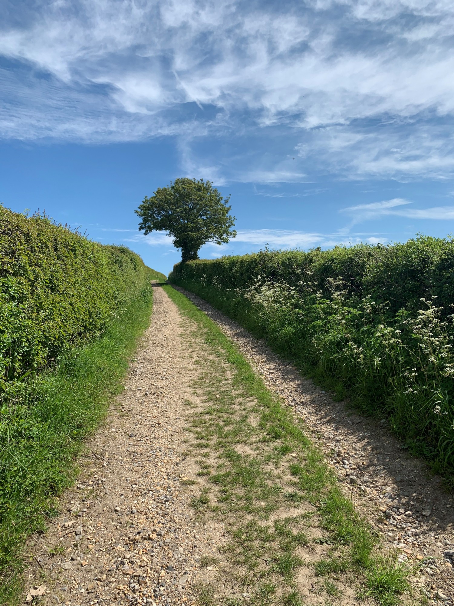 Newfield Holiday Cottages blog image - Footpaths galore