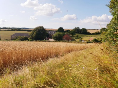 Newfield Holiday Cottages blog image - Winter closure 2023