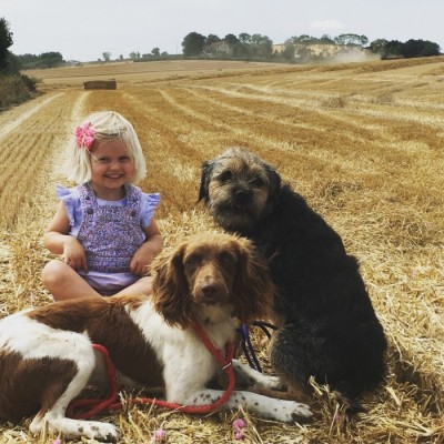 Newfield Holiday Cottages blog image - We love dogs