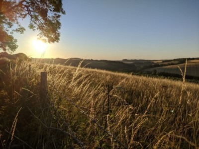 Newfield Holiday Cottages blog image - It's harvest time