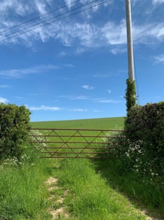 Newfield Holiday Cottages image 4