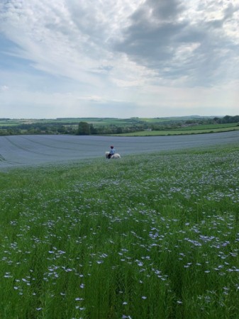 Newfield Holiday Cottages image 1