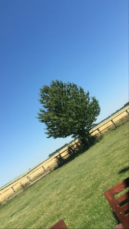 Newfield Holiday Cottages image 5