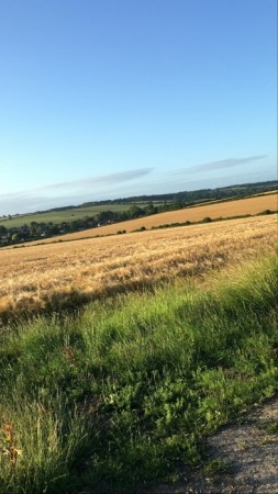 Newfield Holiday Cottages image 8