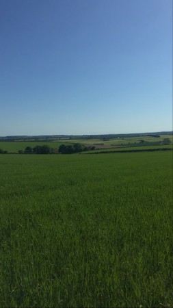 Newfield Holiday Cottages image 13