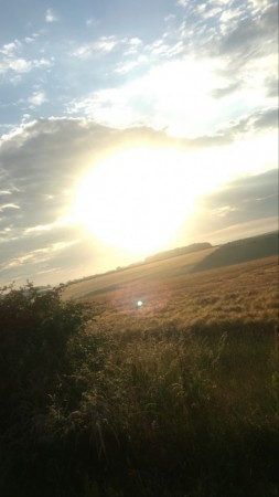 Newfield Holiday Cottages image 16