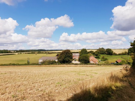Newfield Holiday Cottages image 20