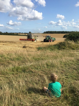 Newfield Holiday Cottages image 27