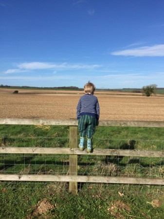 Newfield Holiday Cottages image 29