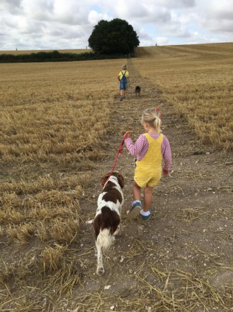 Newfield Holiday Cottages image 6